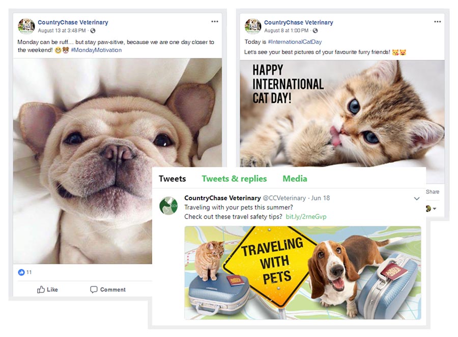 Facebook Posts